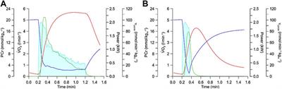 Lactate Thresholds and the Simulation of Human Energy Metabolism: Contributions by the Cologne Sports Medicine Group in the 1970s and 1980s